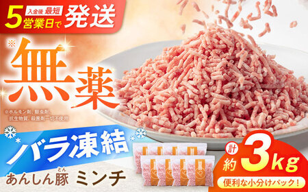 豚ミンチ 約3kg《バラ凍結》藤井ファーム[AWAF034]豚ひき肉