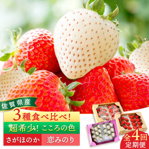 【2026年12月より順次発送】【全4回定期便】さがほのか・恋みのり・こころの色 220g×2パック×4回 / 佐賀県 / 鐘ヶ江農園 [41ASBK006]