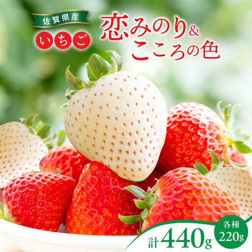 【2027年2月より順次発送】恋みのり・こころの色 220g×2パック（各1パック） / 佐賀県 / 鐘ヶ江農園 [41ASBK007]
