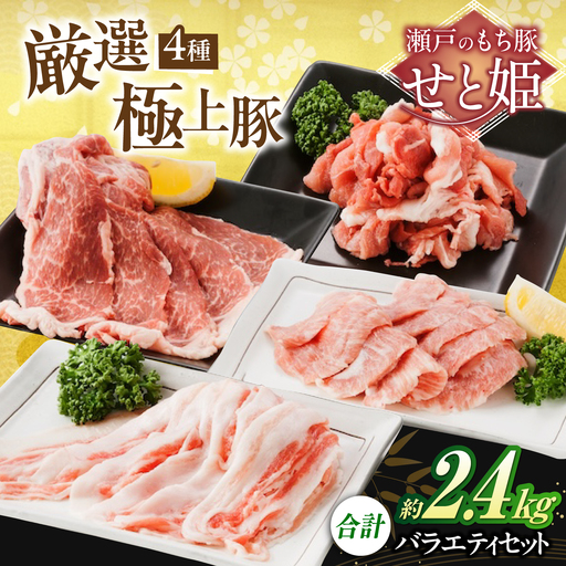 バラエティセット約2,400g (肩ロース・バラ・小間切れ・豚トロ 各600g) [BAER076]豚肉