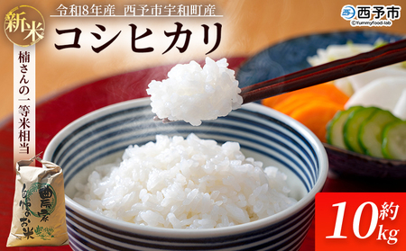 【追加受付開始】新米 ＜令和8年産 コシヒカリ 約10kg 西予市宇和町産＞ 通常 白米 精米 楠さんの一等米相当 お米 ご飯 愛媛県 西予市【常温】『2026年9月上旬から順次出荷予定』 UKK0004