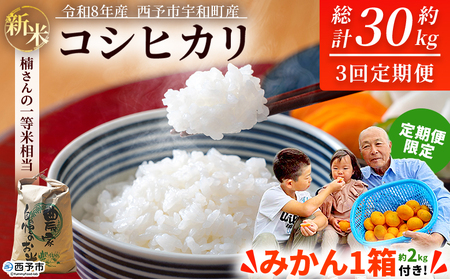 【第2弾 受付開始】新米 ＜令和8年産 コシヒカリ 約10kg×3回 温州みかん2kg×1回 西予市宇和町産＞ 白米 精米 楠さんの一等米相当 選べる 配送回数 お米 ご飯 愛媛県 西予市【常温】『2026年9月上旬から順次出荷予定』 UKK0007