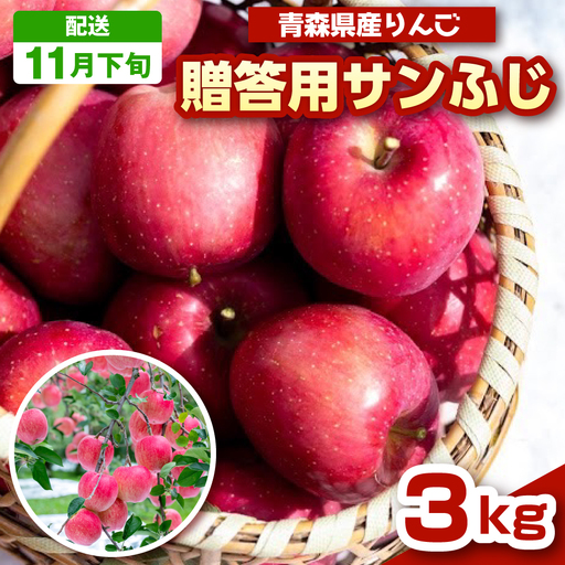 [2026年11月下旬発送] 青森りんご サンふじ約3kg[贈答用]りんご