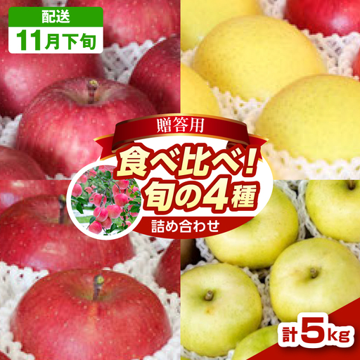 [2026年11月下旬発送] りんご 約5kg 青森県産 [贈答用] りんご4品種食べ比べ
