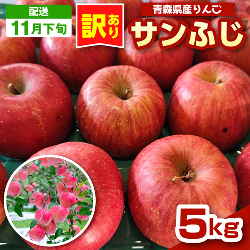 【2026年11月下旬発送】 青森りんご 約5kg サンふじ 《訳あり》 りんご