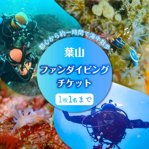 ダイビング ビーチエントリー2ダイブ ／ダイビング 葉山 [ASAM001]