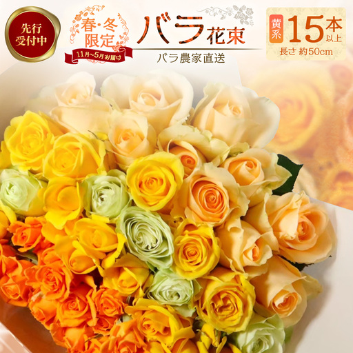 ※先行予約※[日付指定必須・ギフト対応可]ばら農家直送!人気の春・冬薔薇をお届け♪ バラ花束15本以上(黄系) TB-11│ローズ 新鮮 花 フラワー 花束 ばら 薔薇 バラ 誕生日 記念日 結婚祝い ギフト プレゼント お祝い 贈り物 贈答 鹿児島県 南大隅町 富田園