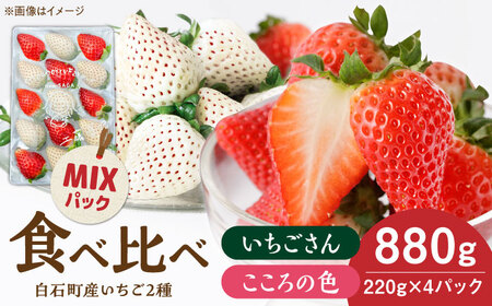 先行予約 2027年1月〜発送 こころの色×いちごさんミックス 紅白いちごセット 計880g / いちご [IBJ027]
