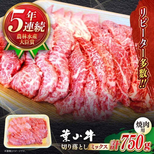 葉山牛 焼肉用ミックス 750g ／ 焼肉  [ASBD002]