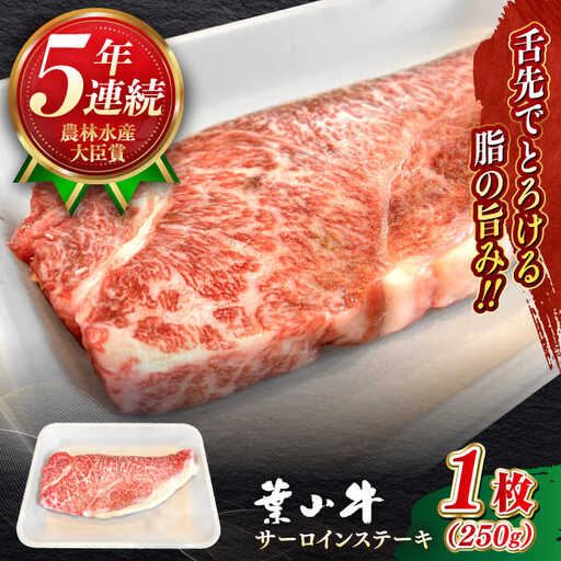 葉山牛 サーロインステーキ 250g×1枚 サーロイン [ASBD016]