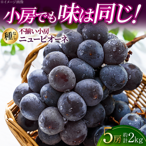 ぶどう ニューピオーネ 5房 [APAB003] 訳あり ぶどう フルーツ