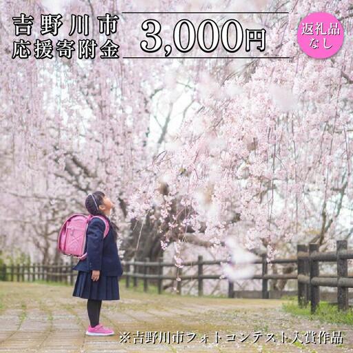 【 返礼品なし 3,000円  】 徳島県 吉野川市 への 寄附 応援寄附金