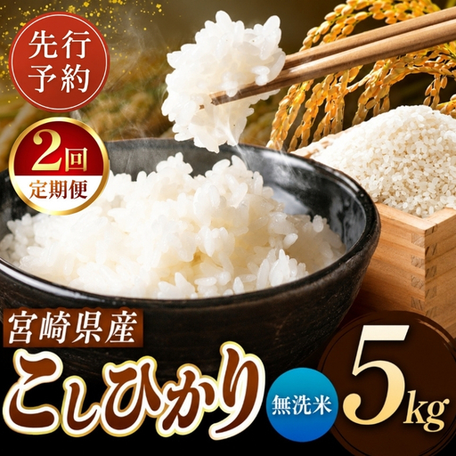 [定期便2回]令和8年産 こしひかり 5kg (無洗米) 宮崎県産