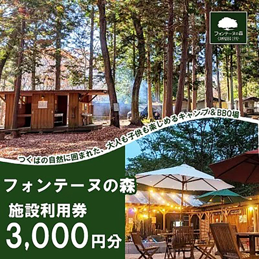キャンプ&バーベキュー フォンテーヌの森 利用券 3,000円分 キャンプ