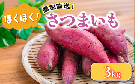 さつまいも 3 kg 野菜 サツマイモ 焼き芋 芋 鳴門金時 なると金時 ヤサイ やさい 食材 新鮮 旬 産地直送 滋賀県 竜王町 送料無料 竜王産