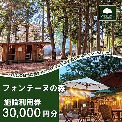 キャンプ&バーベキュー フォンテーヌの森 利用券 30,000円分 キャンプ