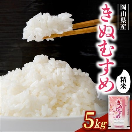 [食味鑑定士厳選]岡山県産 きぬむすめ5kg(5kg×1袋)