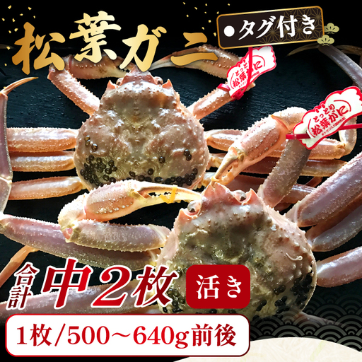 【活き】タグ付き松葉ガニ　中　2枚【松葉ガニ 松葉がに 松葉蟹 まつばがに かに カニ 冷蔵 チルド ブランド ズワイガニ 活き お祝い 冬 国産 季節限定 お取り寄せ 鳥取県 日吉津村 日本海】