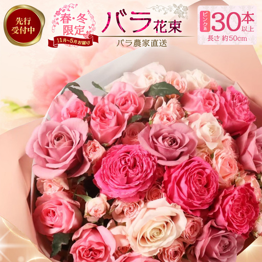 ※先行予約※【日付指定必須・ギフト対応可】ばら農家直送！人気の春・冬薔薇をお届け♪ バラ花束30本以上(ピンク系) TB-14│ローズ 新鮮 花 フラワー 花束 ばら 薔薇 バラ 誕生日 記念日 結婚祝い ギフト プレゼント お祝い 贈り物 贈答 鹿児島県 南大隅町 富田バラ園