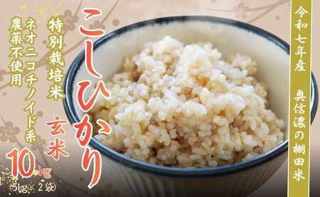 玄米 【10kg】 令和7年産 コシヒカリ 特別栽培米 【みのり農園】7-22A