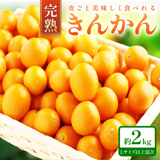 [1183]完熟きんかん/金柑 約2kg 和歌山産≪先行予約2027年2月頃より順次発送分≫