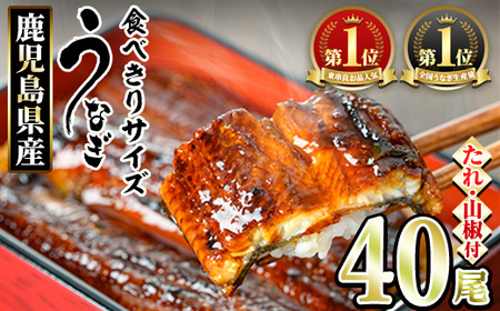 ＜食べきりサイズ！＞東串良町のうなぎ蒲焼(無頭)(40尾・計4000g・タレ、山椒付) うなぎ 高級 ウナギ 鰻 国産 蒲焼 蒲焼き たれ 鹿児島 ふるさと 人気 【アクアおおすみ】【1434330a】