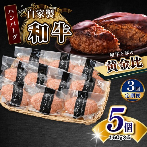 【定期便3回】自家製和牛ハンバーグ（生・冷凍個別真空）5個セット  | 牛肉 牛 肉 にく 和牛 かずさ和牛 国産 ハンバーグ 新鮮 オススメ 千葉県 君津市 きみつ