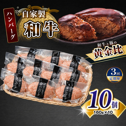 【定期便3回】自家製和牛ハンバーグ（生・冷凍個別真空）10個セット  | 牛肉 牛 肉 にく 和牛 かずさ和牛 国産 ハンバーグ 新鮮 オススメ 千葉県 君津市 きみつ