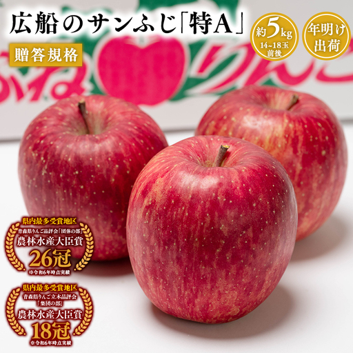 りんご 贈答規格 サンふじ 約5kg【hi-0004-009】 