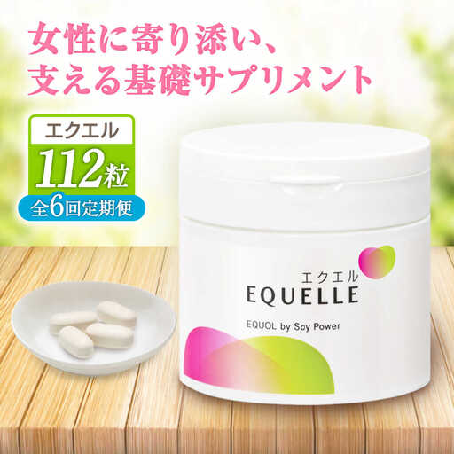 【9月30日受付終了】6回定期便 サプリメント エクエル 28日分 サプリ 大塚製薬[FDT003]