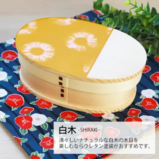 みよし漆器本舗 曲げわっぱ お弁当箱 600ml 約17.5×11.5×高さ6.5cm 小判型 弁当箱 1段 染物風 白木