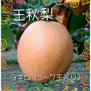 王秋梨 3kg【まえた農園】