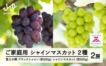 [先行予約]ぶどう 富士の輝 約550g シャインマスカット セット ご家庭用 令和8年産 2026年産 山形県山辺町産 ブラックシャインマスカット 葡萄 ブドウ フルーツ 果物 ※沖縄・離島への配送不可 bg-bufsk1200