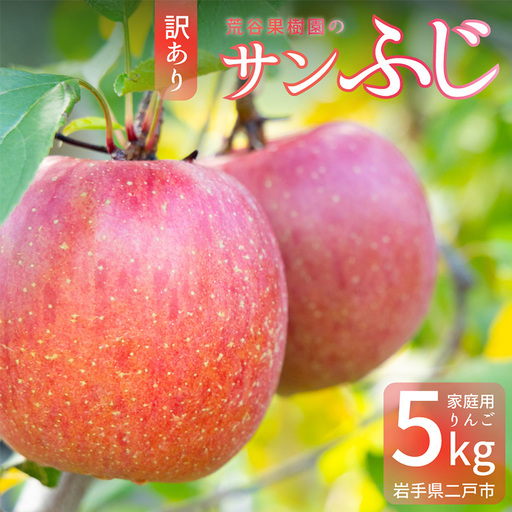 [訳あり] サンふじ 約5kg 家庭用 053-0750x1