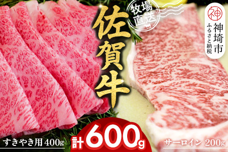 佐賀牛 サーロインステーキ200gすきやき用400g 2種セット(H122135)
