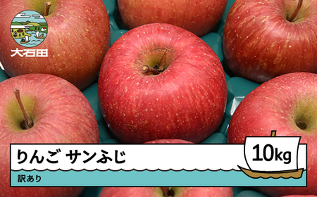 りんご サンふじ 訳あり 約10kg 令和8年産 2026年産  ※沖縄・離島への配送不可 ry-risfw10000