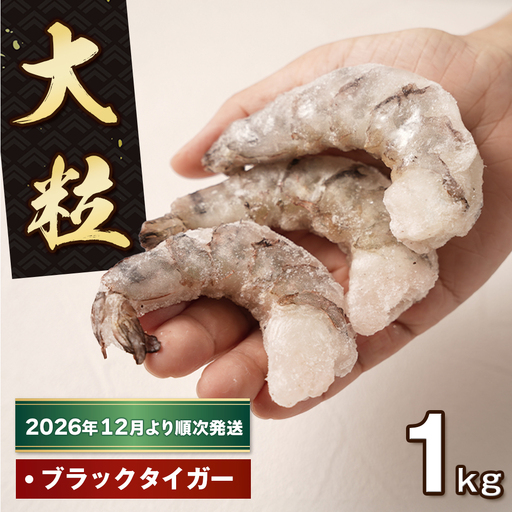 至福の大粒むきえび 背ワタ処理済 1kg[2026年12月より順次発送] ブラックタイガー 冷凍 ムキエビ 大型 海老
