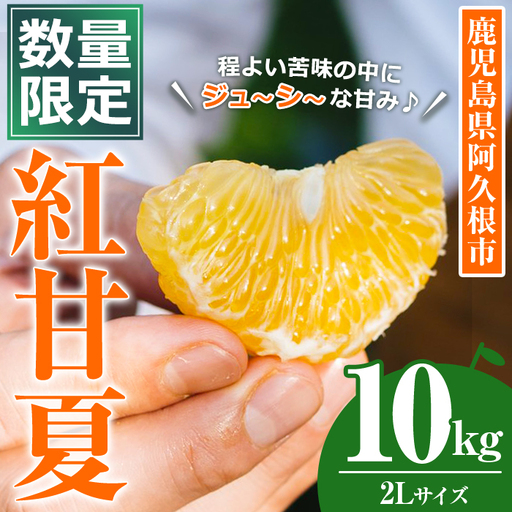 [先行予約受付中!2027年3月上旬以降順次発送予定]数量限定!鹿児島県産 紅甘夏 (10kg・2L) 柑橘 フルーツ 果物 国産 みかん 期間限定 数量限定 ベニアマナツ ミカン 旬 [株式会社土曜日]akn069-10
