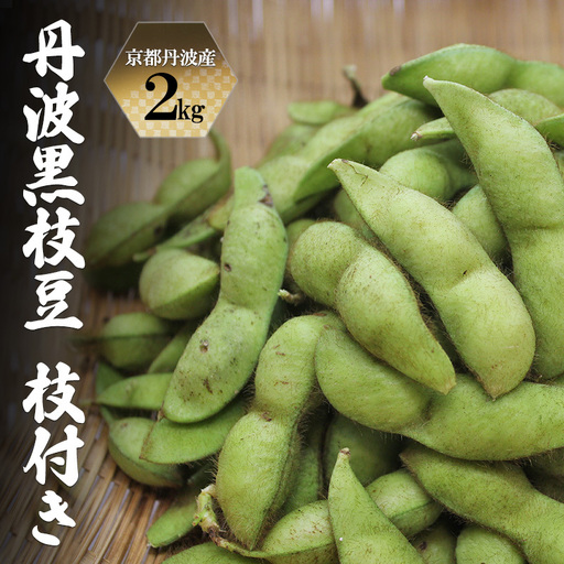 枝豆 丹波黒枝豆 枝付き 2kg 枝豆