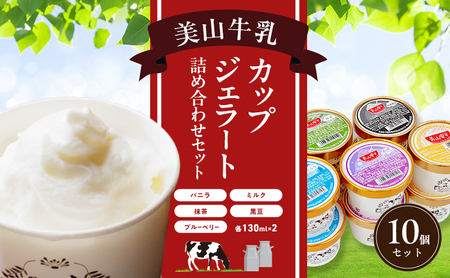 ジェラート 10個 美山産 ジェラート