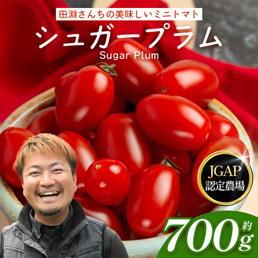[先行予約・2026年10月より順次発送]田淵さんちの美味しい ミニトマト シュガープラム(約700g)GP-1