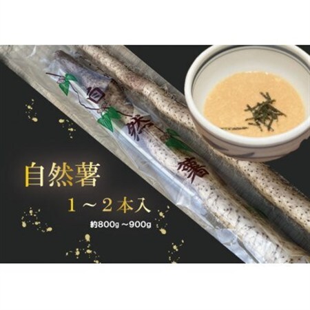 [12月より順次発送]自然薯 1〜2本入り(約700g〜900g)[配送不可地域:離島・北海道・沖縄県・東北・中国・四国・九州]