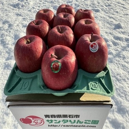 りんごと言えば、本場青森県産サンふじ　贈答用　約3kg　9個前後入り　農家直送　蜜入り期待大!【配送不可地域：離島】【1654735】
