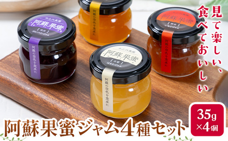 阿蘇果蜜ジャム4種セット 35g×4本 木之内農園 ジャム《30日以内に出荷予定(土日祝を除く)》 熊本県南阿蘇村 ジャム いちご ブルーベリー はるか 不知火 苺 大粒 乗せるジャム