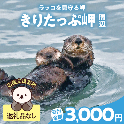 ラッコを見守る岬「きりたっぷ岬」周辺の環境整備　3000円分 返礼品なし_H0028-009