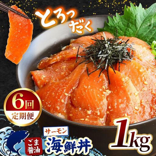 【 定期便6回 】 