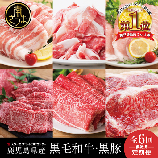 [定期便 全6回]スターゼン厳選お肉の定期便(鹿児島県産黒毛和牛・黒豚) 牛肉 豚肉 サーロイン ステーキ 切り落とし しゃぶしゃぶ 焼肉 すき焼き もも モモ バラ ロース スライス 小分け 定期便 冷凍 スターゼン 南さつま市