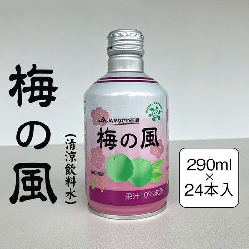 梅の風（清涼飲料水）　290ml×24本入り【 神奈川県 山北町 】