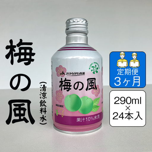 【定期便3ヶ月】梅の風（清涼飲料水）　290ml×24本入り【 神奈川県 山北町 】