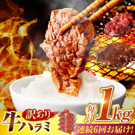 【6回定期便】【訳あり】味付けハラミ 1kg(250ｇ×4パック) [AVBO043]